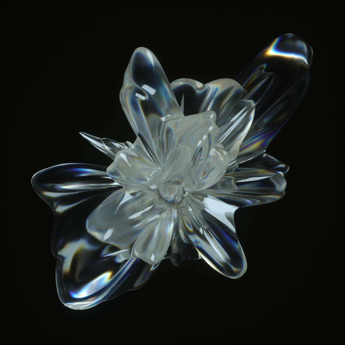 3D image for Peter Luts